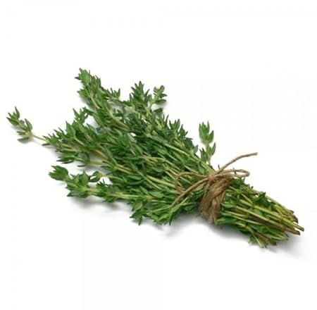 Semillas de Tomillo Natural para Sembrar en Casa