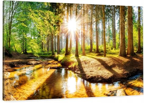 HUBDECO Leinwand Bilder Wohnzimmer - Bilder, Poster, Kunstdrucke - Leinwandbild - Bild auf Leinwand - Tolle Zimmerdekoration - Schlafzimmer Bilder - 120x80 cm Wald Sonne