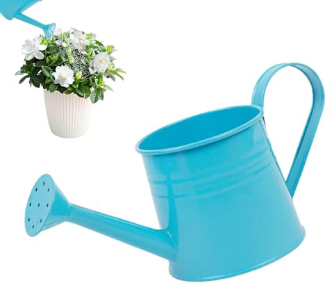 Gießkanne – 1L Indoor Outdoor Gießkannen für Zimmerpflanzen langer Auslauf Wasserkanne – Garten Wasserkannen mit langem Auslauf | Blumenarrangement Eimer, Metallvase für Außen- und Innengarten