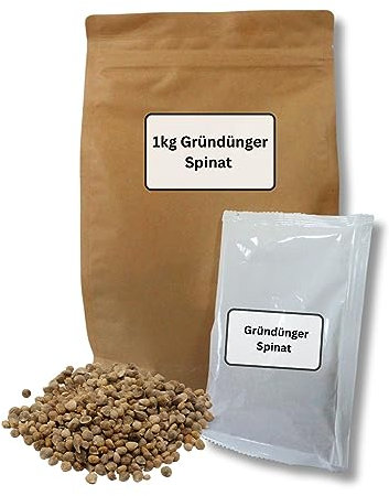 GardenTaurus® natürlicher Gründünger Spinat, 1000g für 100m², Saatgut mit doppeltem Nutzen, essbarer Gründünger - Vorteilspack, verbessert die Bodenstruktur, gibt Nährstoffe frei