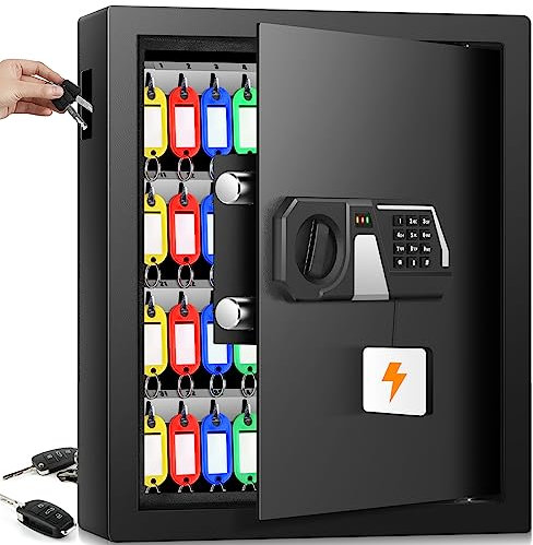 Mejasg Feuerfester Schlüsselkasten mit Zahlencode für 48 Schlüssel, Schlüsseltresor Schlüsselsafe Aussen mit Seitlichem Schlüsseleinwurf&Verstellbarer Schlüsselleiste, Schlüsselschrank für Büros Lager