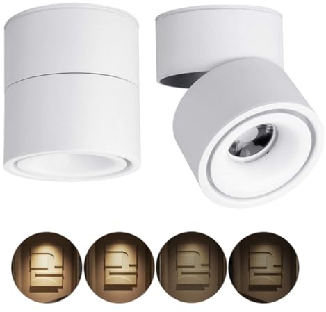 Yodaba Dimmable Ceiling Spotlight,Indoor 360°Adjustable Surface Mounted LED 10W COB Ceiling Downlight-Wall Lamp for Picture Background Wall Display Lighting(Warm Light 3000K,White)