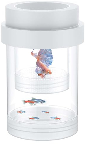 Pawfly Boîte d'élevage pour Aquarium, boîte de Reproduction Flottante pour guppys, séparateur pour alevins, incubateur en Plastique pour crevettes, Betta, Poisson-Clown (Moyen)