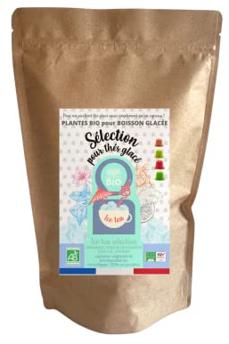 CAPSUL&BIO Thé Glacé bio Mélange de menthe, pomme hibiscus, citron gingembre, citron maté - Capsules Biodégradables - Compatibles avec les machines Nesspresso - 100% Végétales - Fabrication Française