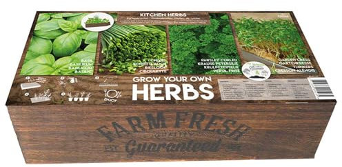 Grow-Box Farm Fresh Starter-Kit Kräuter Anzuchtkiste inkl. Kräuter Saatgut und Anzuchterde 39,5x19,5x7,5 cm