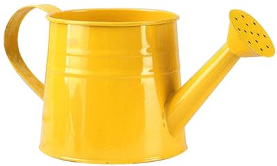 Regadera de metal blanco, regadera galvanizada, regadera de 1 galón con boquilla extraíble, regadera de flores vintage, para el cuidado de plantas en interiores y exteriores (amarillo)