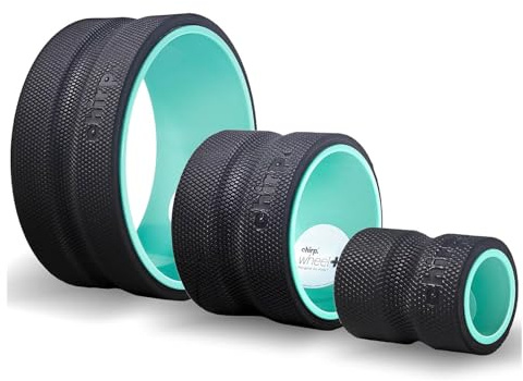 Chirp Wheel Foam Roller - Rouleau de massage ciblé pour le dos et le cou - rouleau de massage musculaire - Outil de physiothérapie et d'exercice haute densité - Paquet de 3 (4, 6, 10)