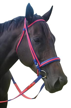 Tack Shack of Ocala Custom Nylon Race Bridle Set, Race Bridle Set, Race Bridle Set for Horses, Bridle Set, Race Bridle Set for Horses, Custom Bridle Set, Nylon Bridle Set, Nylon Bridle