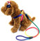 GRIRIW Rainbow Adjustable Dog Leash and Traction Rope Nylon Pet Supplies for Medium Dogs Fashionable and Comfortable Harness for Active Puppies