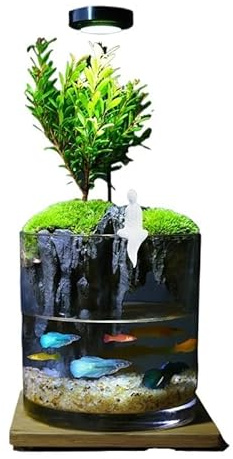 Aquarium mit Wasserfall-Funktion, Glasbecken für den Schreibtisch mit lebenden Pflanzen und Zen-Landschaftsdekoration (A)