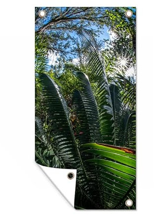MuchoWow Outdoor-Poster Poster Wanddeko draußen Deko Garten Gartenposter 80x160 cm Das Laub eines Farns in der Natur