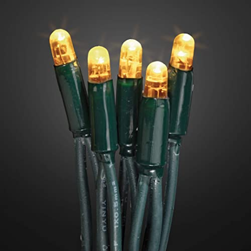 hellum LED Lichterkette Außen, verlängerbar Lichterkette mit Steckdose, Verlängerungs-Set ohne Netzkabel, 3,9m 40 LEDs warm-weiß, Kabel grün, Weihnachtsbeleuchtung für Garten Party 555103