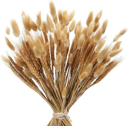 Minnhua 160PCS Bouquet di Pampas Grass Essiccato Fiori Secchi Decorativi,Fiori Essiccati Bunny Tails,Pompas Marroni,Pampas Grass Decorazione da Tavolo Boho per Matrimoni, Feste Rustiche, Baby Shower