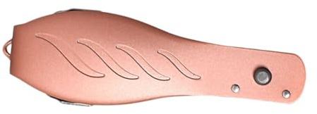 minkissy Gratta Piedi Pieghevole in Acciaio Inossidabile, Rimuove Pelle Morta e Calli, Strumento per Pedicure Sicuro per Casa e Salone