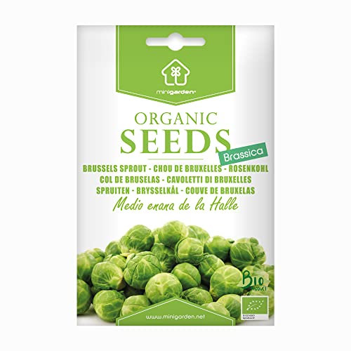 Rosenkohl Medio enana de la Halle, zertifizierte biologische Samen von Minigarden, enthält zwischen 300 und 250 Samen