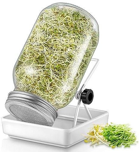 ecooe Sprossen Keimglas 1er Set keimgläser für Sprossenglas Sprouting jar mit 1 Wasserschale 1 Filtergitterabdeckungen aus Edelstahl 304 und 1 Ständer
