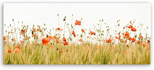 ge Bildet Bild auf Leinwand | Mohnfeld in 100x40 cm als Panorama Wandbild | Wand-deko Dekoration Wohnung modern Bilder | 2270-B