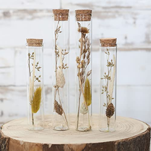 comforder Trockenblumen in Reagenzglas mit Korken 4er Set, getrocknete Blumen-Deko in Glasflasche (Natur)