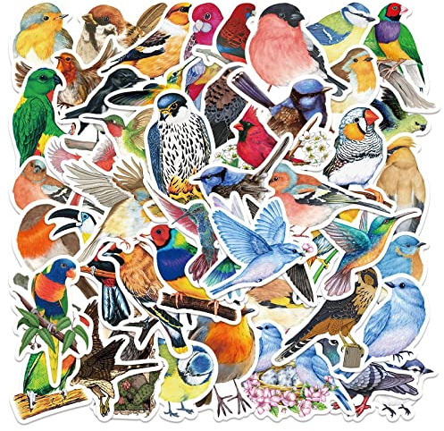 Bric Dodo 50 Stück Watercolor Bird Aufkleber Wasserflaschen Laptop Telefon Gitarre Skateboard Computer Kleine Vögel Vinyl Stickers Wasserdicht Ästhetisch Aufkleber für Jugendliche Kinder Erwachsene