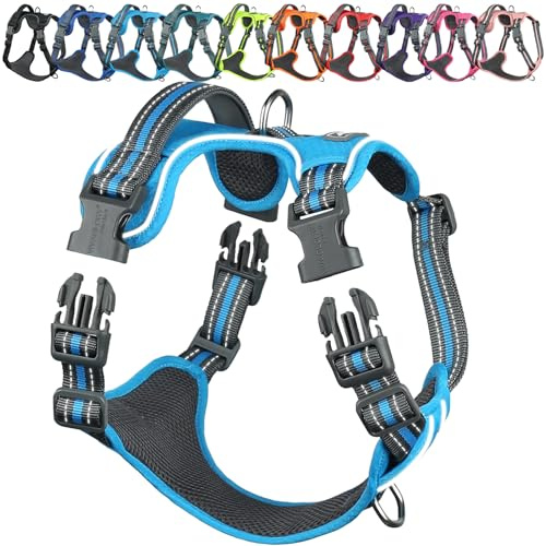 VIVAGLORY Anti Zieh Geschirr für Hunde Hundegeschirr, XS, Blau, A | Antizuggeschirr mit Gepolstert Griff & Brustring, Anti Zieh Mitwachsend Ausbruchsicher & Reflektierend für Welpe Hund