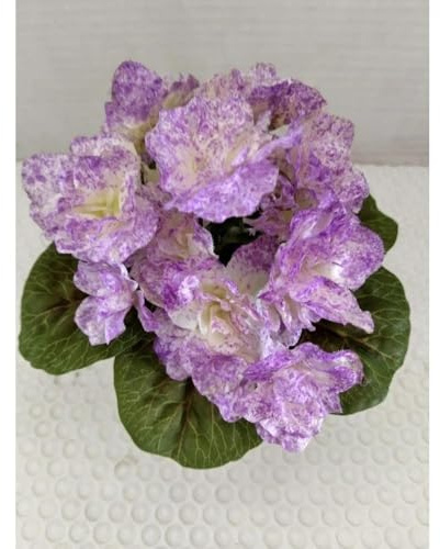 1 Pcs Artificial 6 Miniature African Violet - Purple Smoke