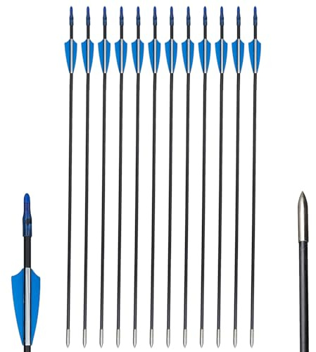 Toparchery Lot de 12 flèches en Fibre de Verre pour tir à l'arc de 31 Pouces - Flèches en Fibre de Verre pour arcs recurvés et arcs de Sport, Spine 800 (Bleu)