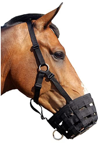 QHP Maulkorb Fressbremse zur Kontrolle der Futterzufuhr schwarz mehrfach verstellbar (Shetty)