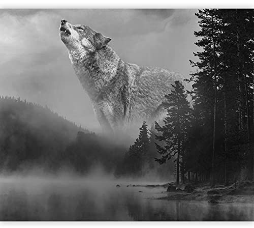murando Fotomurales autoadhesivos Bosque 343x256 cm Papel Pintado Decoración de Pared Murales Pegatina decorativos adhesivos 3d Fotográfico Niebla Wolf Negro Blanco c-C-0475-a-a