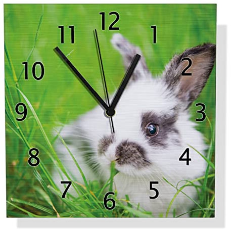 Wallario Design Wanduhr Süßer Hase im grünen Gras aus Aluverbund, Alu-Uhr Größe 30 x 30 cm, Schwarze Zeiger mit Metalloptik