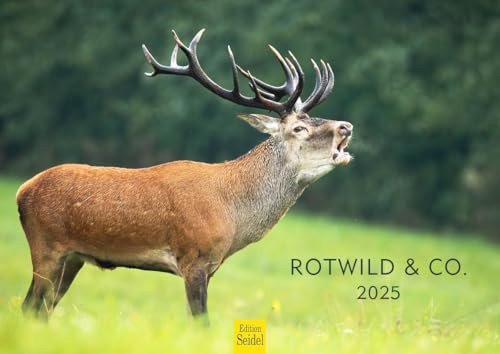 Edition Seidel Premium Kalender Rotwild & Co. 2025 Format DIN A4 Wandkalender Wildtier Waldtier Hirsch Rothirsch Damhirsch Hirschkuh Kalb Reh Geweih