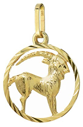 NKlaus Steinbock Sternzeichen 585 Gelbgold 8 Karat 15mm Kettenanhänger Horoskop Zodiak 13327