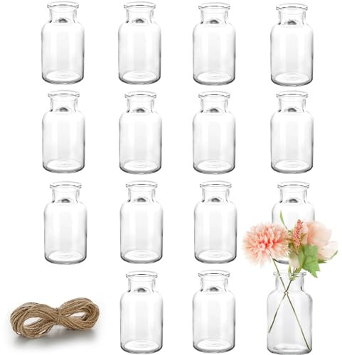 Lannvan 15 Mini Vases en Verre - Petits Décoratifs de Table Mariage - Avec Ficelle - Pour Décorations de Table Moderne - Lave Vaisselle - 130ml