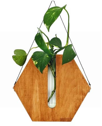 RXMORI Sechseckige Hängevase aus Holz, Blumenvase Zum Aufhängen an der Wand, Hängende Reagenzglas-Glasvase, Rustikaler Glaswand-Pflanzgefäß für Heimdekoration (2)