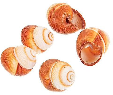 Toddmomy 5pezzi Gusci di Chiocciola per Cottura Escargot Spessi e Isolanti Materiale Naturale per Forno Microonde Lavastoviglie Casa Ristorante