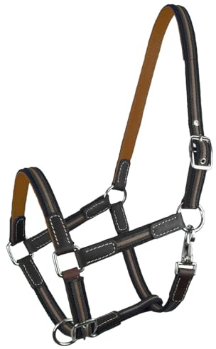 Brama West Halfter Pferd Ruby | 2-Fach verstellbar mit Ledereinsätzen | Weidehalfter Stallhalfter (Orange, MiniShetty)