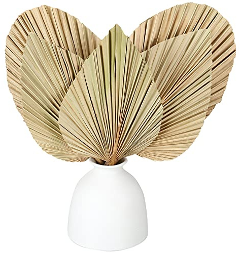 5 Pcs Natural Dried Palm Leaves 12 Real Dried Palm Spears Bulk Boho Fans with Stem for Flower Bouquet Wedding Decor Home Party Kitchen Vase Table Arrangements Wall Decor