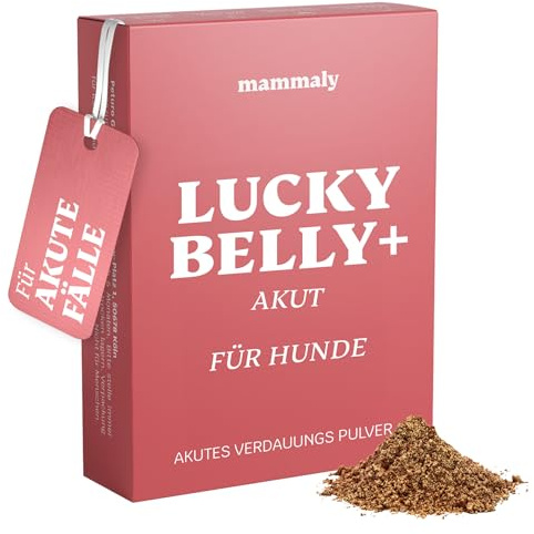 mammaly Lucky Belly Akut® Magen-Darm Pulver mit Probiotika | mit 6 Tütchen für Verdauung & Darmflora - gegen Durchfall - mit Elektrolyten - DLG zertifiziert - mit Tierärzten entwickelt