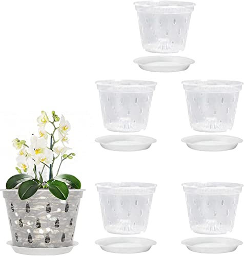 Youning Transparent Orchideentöpfe Blumentopf 5 Stück Klare Kunststoff Orchideentopf Orchidee Pflanztöpfe mit Löchern und Untertassen Orchideen Anzuchttöpfe Orchideentopf (11cm mit Tablett)