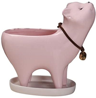 BESTonZON Maceta para Suculentas Forma de Gato en Cerámica Rosa