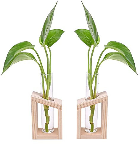 2 Stücke Reagenzglas Vase aus Holz, Hydroponische Vase mit Holzrahmen, Reagenzglas Blumenvase, Verwenden Sie zu Office Home Decoration, Geschenk für Hochzeit Geburtstag