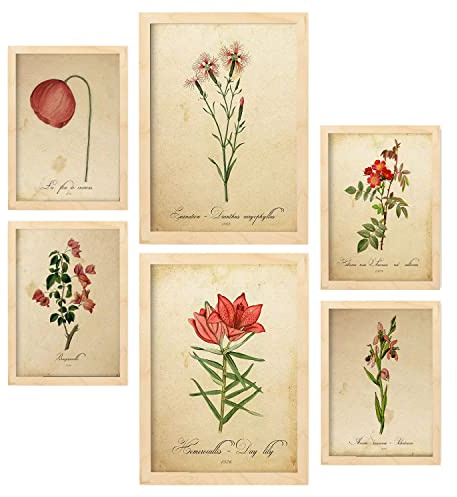 Nacnic Posters di Fiori Rossi. Manifesti Naturalistiche e Botaniche a Colori con Temi Floreali in Stile Carta Vintage. Progettazione e decorazione d'interni. A4 & A3 Cornici in legno.