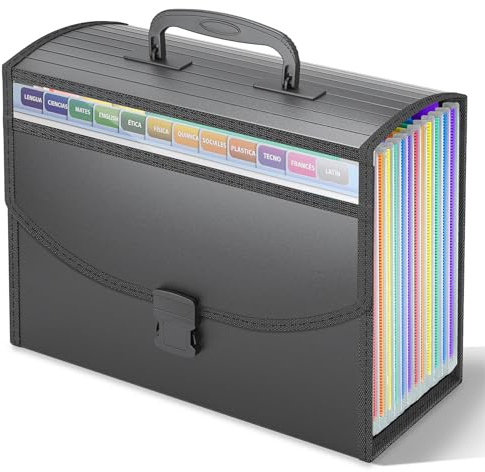 Accordion File Organizer,Portable Expanding File Folder with Handle,12 Pockets Accordion File Box,Visible Window for Quick Lookup,Colored Tabs,A4/Letter Size Documents Paper Bill Filing Organizer