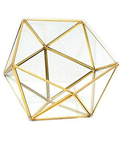 Diogeynu Moderne künstlerische Schmuckschatulle aus klarem Glas, geometrische Pentagon-Form, Sukkulenten, Moos, Farn, Pflanze, Terrarium, Heimdekoration