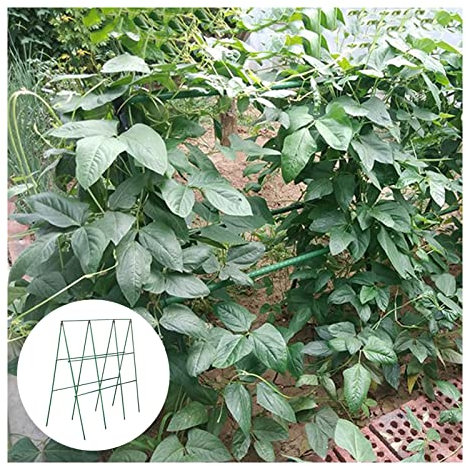 HJZALMI Zusammenklappbares Gurkenspalier, A-Frame Gurkenspalier, Garten Spalier Für Tomate Kürbis Gemüse, (Farbe : Green-11mm, Größe : 5pcs)