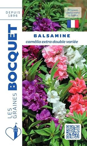 Sachet de graines de Balsamine camélia extra double variée - 1,5 g - fleur annuelle - LES GRAINES BOCQUET