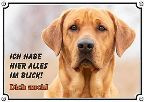 Petsigns Hundeschild Broholmer - Metallschild mit Fotodruck - UV beständig, DIN A4
