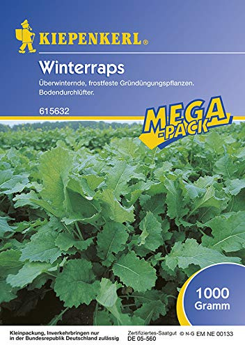 Kiepenkerl 615632 Winterraps 1 kg (Winterrapssamen)