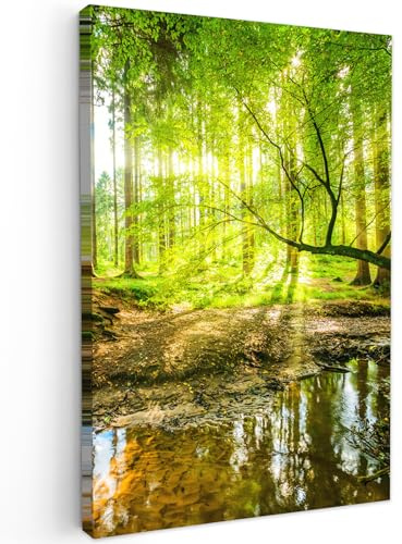 MuchoWow© Leinwandbild Dekoration Wohnzimmer Bilder Aufhängen Wall - Natur | 60x90 cm - Decoration Living Room Wohnungs Deko Moderne Wandbilder Bild Wald - Landschaft - Wasser - Bäume - Grün