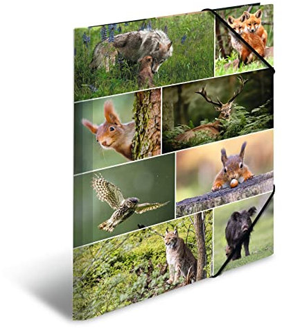 HERMA Sammelmappe A3 Waldtiere, Kinder Eckspanner-Mappe aus Pappe mit Tier Motiv, Gummizug, Innenklappen und Innendruck für Jungen und Mädchen