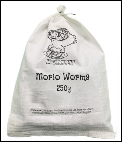 Livefoods4u Live Morio Worms 250g Bulk Bag 40-60mm | Reptile & Bird Food